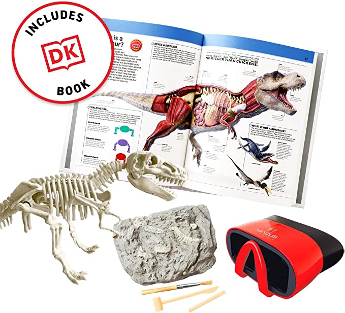 VR Discovery Dinosaurs Box