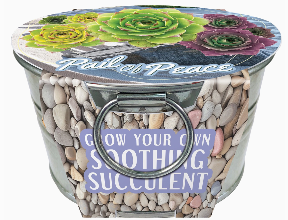 Tin Pail Gardens