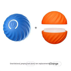 Durable Rubber Ball Toy for Dogs