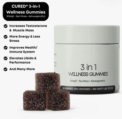 Shilajit 3-in-1 Energy Gummies for Men