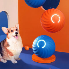 Durable Rubber Ball Toy for Dogs