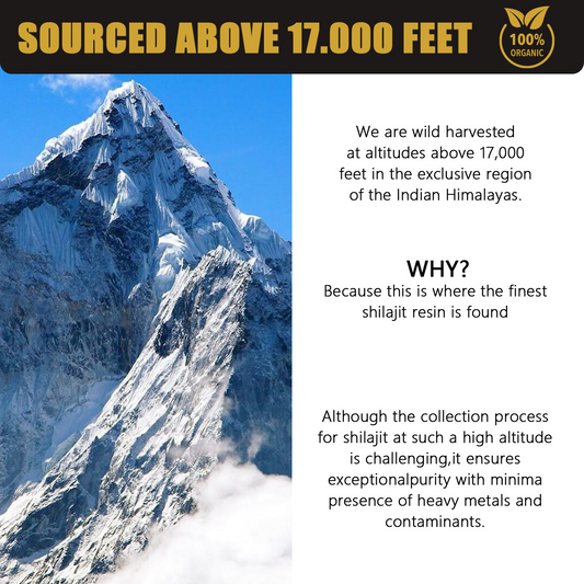 Pure Shilajit Resin — 30g Natural Himalayan Formula