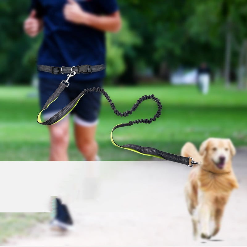 Hands-Free Dog Walking Belt with Shock-Absorbing Leash