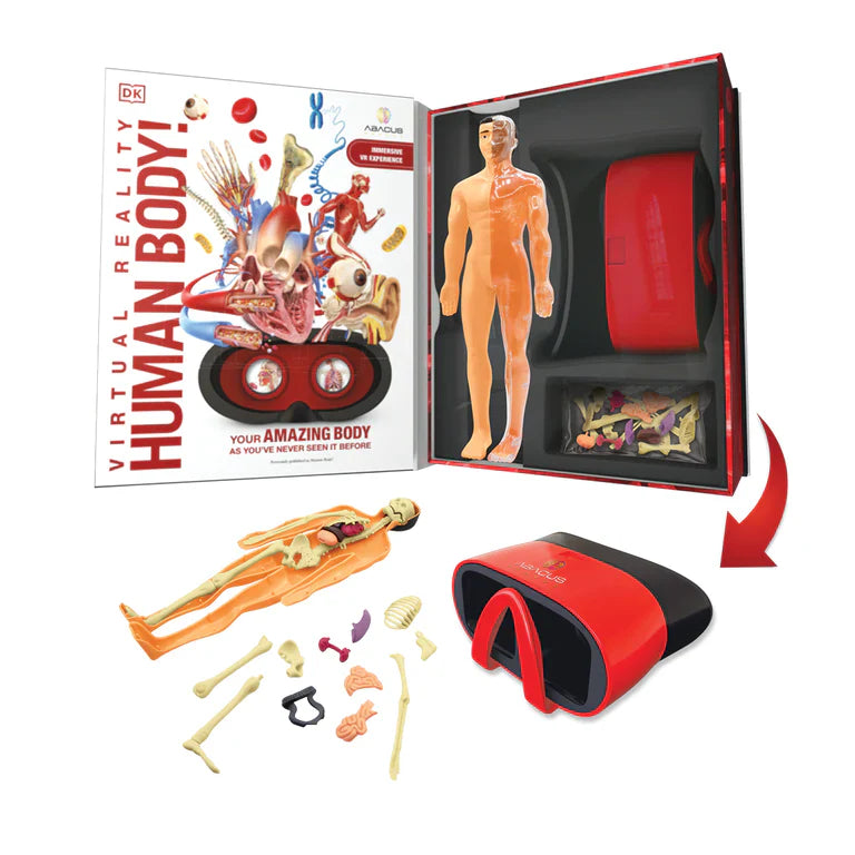 VR Discovery Human Body Box