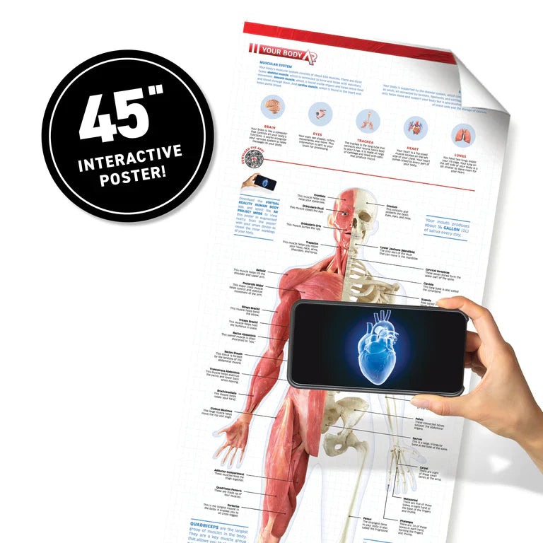 VR Discovery Human Body Box
