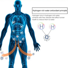 Hydrogen-Rich Water Cup — Ionizing Bottle