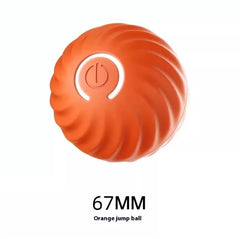 Durable Rubber Ball Toy for Dogs