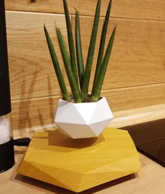 Magnetic Floating Flower Pot