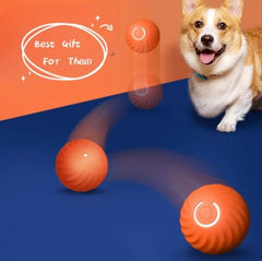 Durable Rubber Ball Toy for Dogs