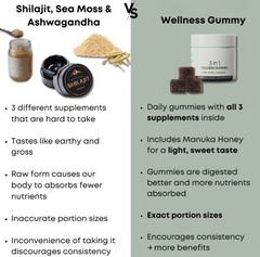 Shilajit 3-in-1 Energy Gummies for Men