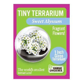 Tiny Terrarium Flower